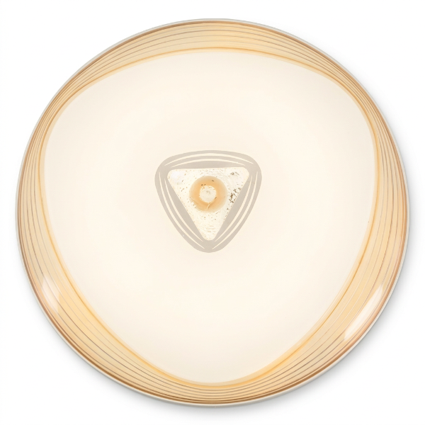 Ceiling fitting CF170
