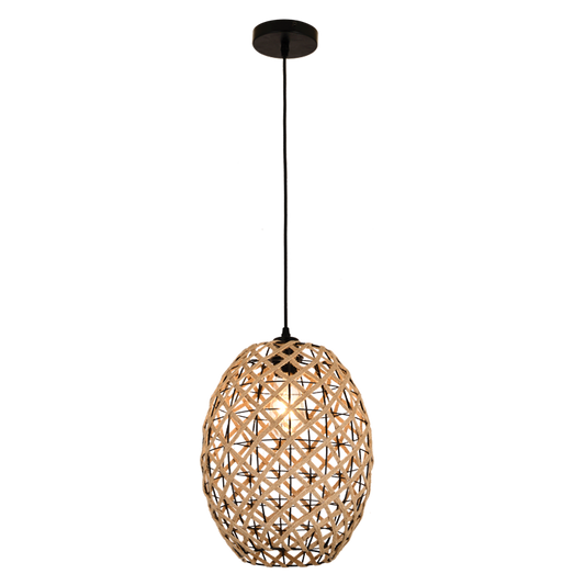 Metal and Rope Pendant PEN858