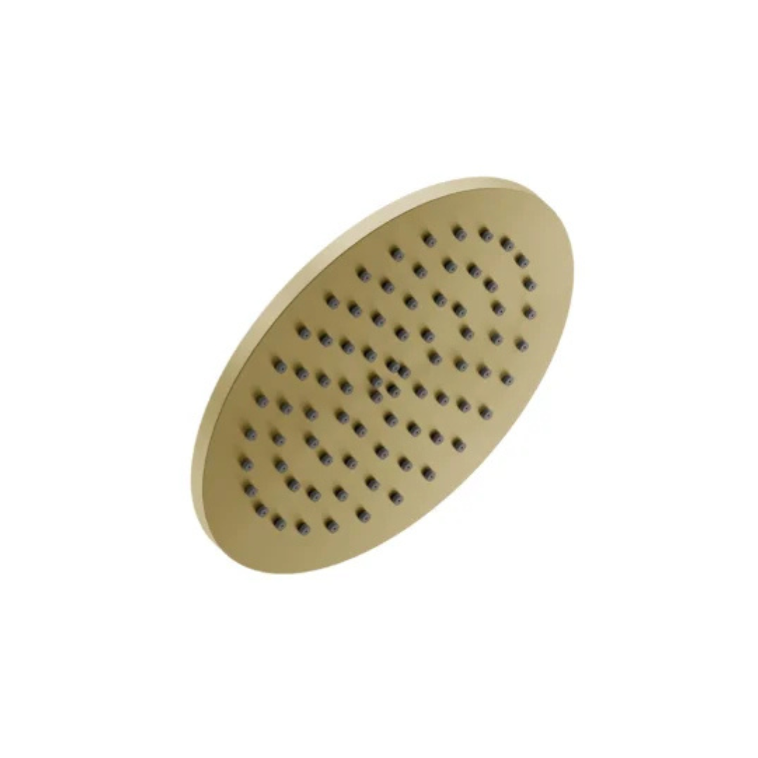 PLUS Shower Rose 200mm (Stainless Steel) (1039)