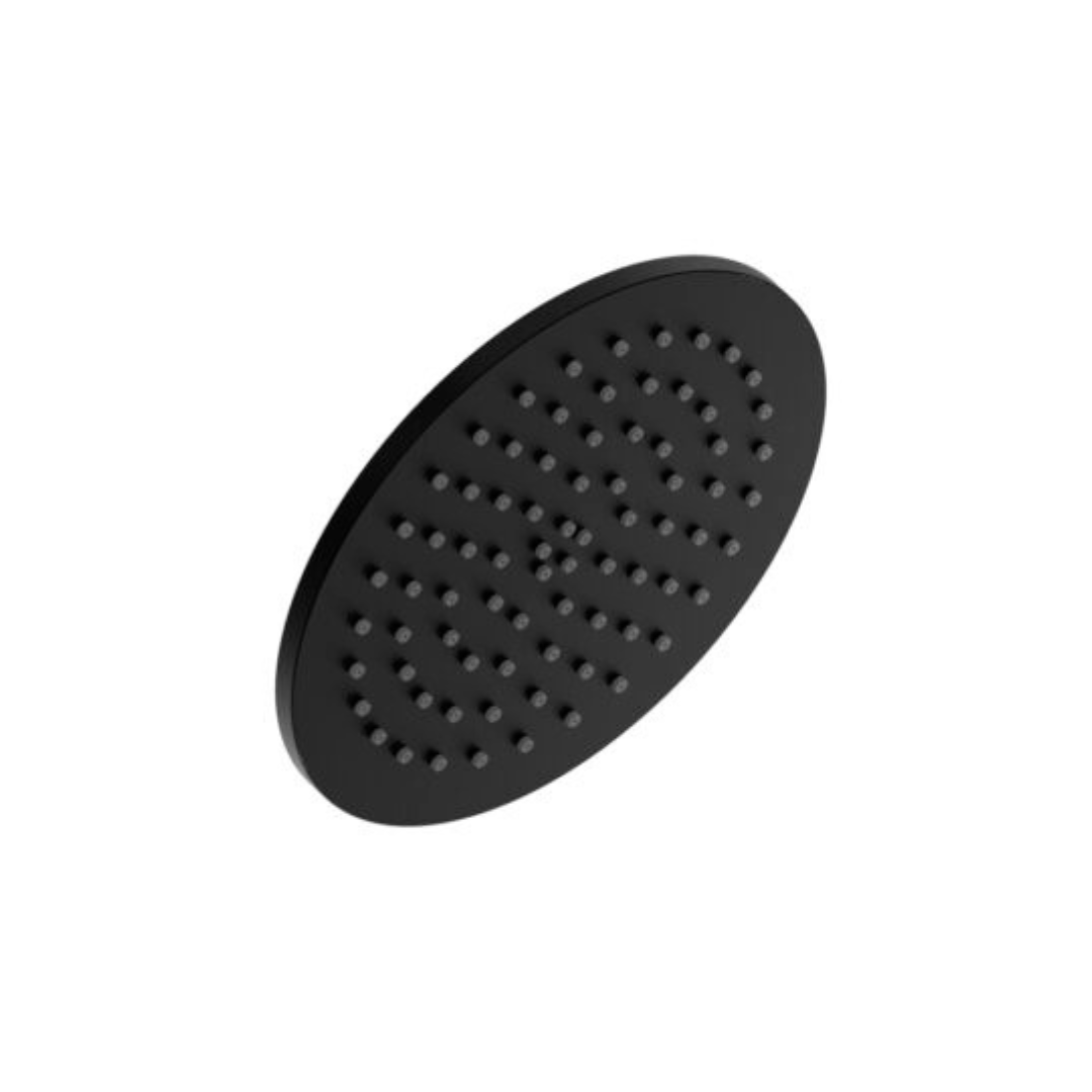 PLUS Shower Rose 200mm (Stainless Steel) (1039)
